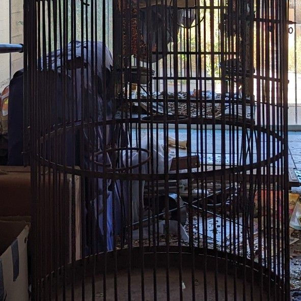 Iron Parrot Cage
