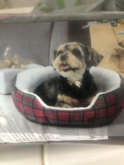 Dog Bed*Brand New!