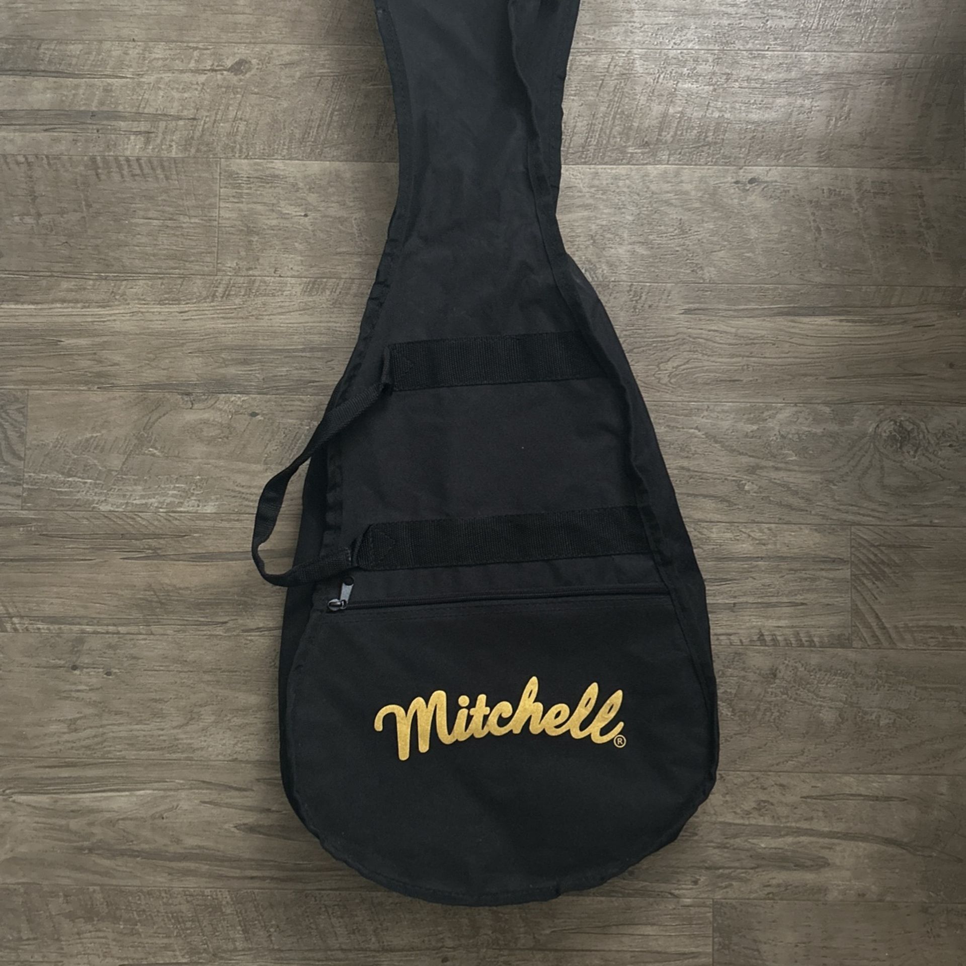 mitchell dj120 junior dreadnought acoustic guitar case