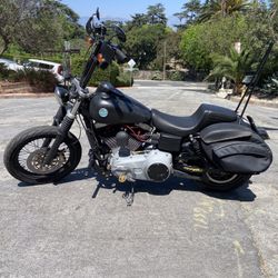 2009 Dana Street Bob