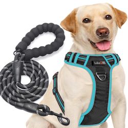 5 Ft Dog Leash 