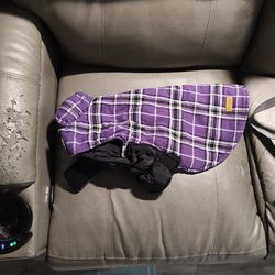 Dog Cloths  for Frenchies