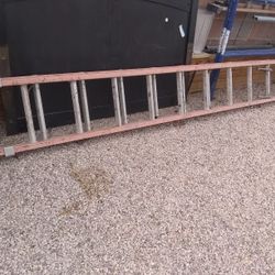24 "Ladder