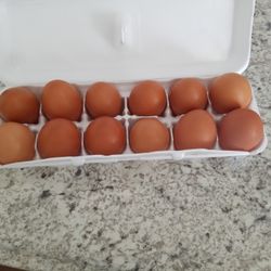 Fresh organic eggs