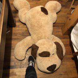 Big Teddy bear (dog) 4 ft