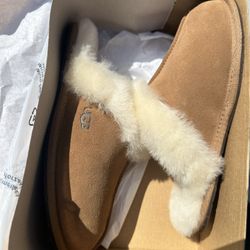 Ugg Slippers 