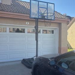 Canasta De Basketball 