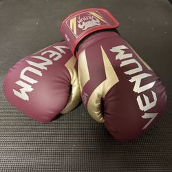 Venum Elite 16oz Muay Thai/ Boxing Gloves