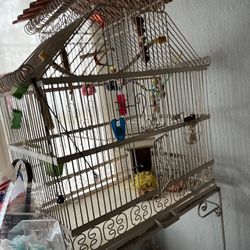 Large Bird Cage, Indoor Or Outdoor 