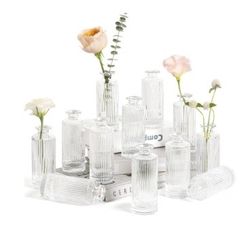 12pk. Small Glass Vases. New In Box. 
