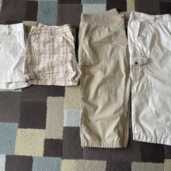 Womens Size 16 Shorts And Capris Tommy North Face 
