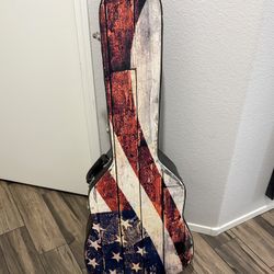 Guitar Case