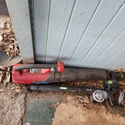 2 Leaf Blowers