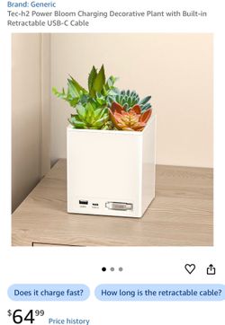 Decorative planter with faux succulents and integrated USB charging. Complements modern spaces. Built-in USB ports and retractable cable provide conve