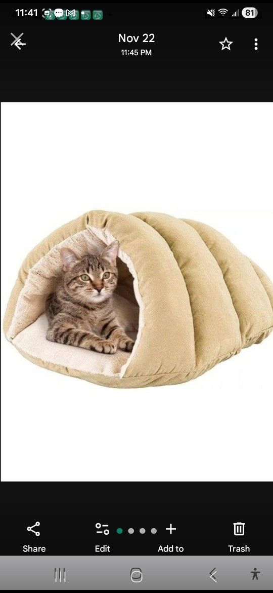 Pet Bed