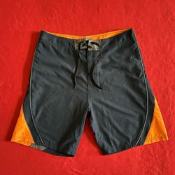 Men’s Beach Rays Swim Shorts Size 32