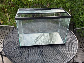 20 gallon aquarium