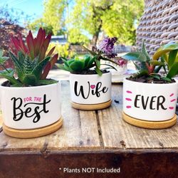 Plant pot gift box for her