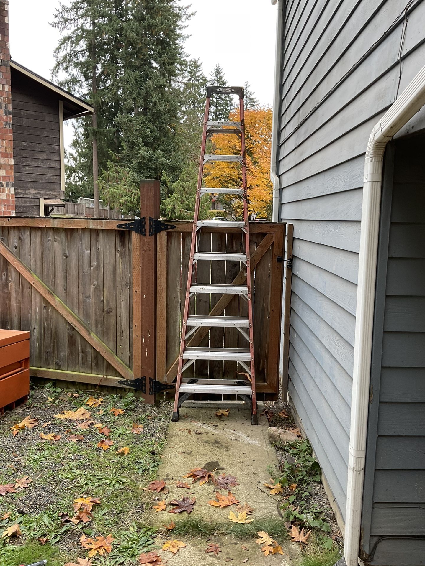 10’ Ladder