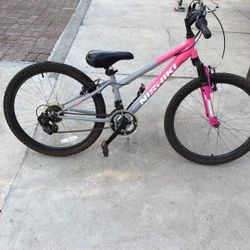 Nishiki Bike For Woman 