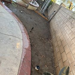 Concrete Bags