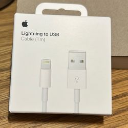 Apple Lightning to USB Cable 3 Ft 