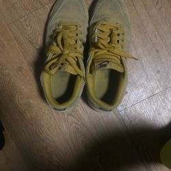 Nike Dunk Brown Casual Size 8.5