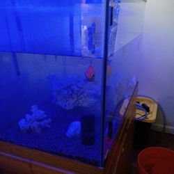Fish Tanks 65 Gallon 