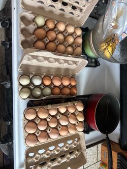 Eggs