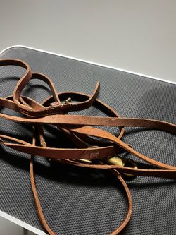 Horse reins