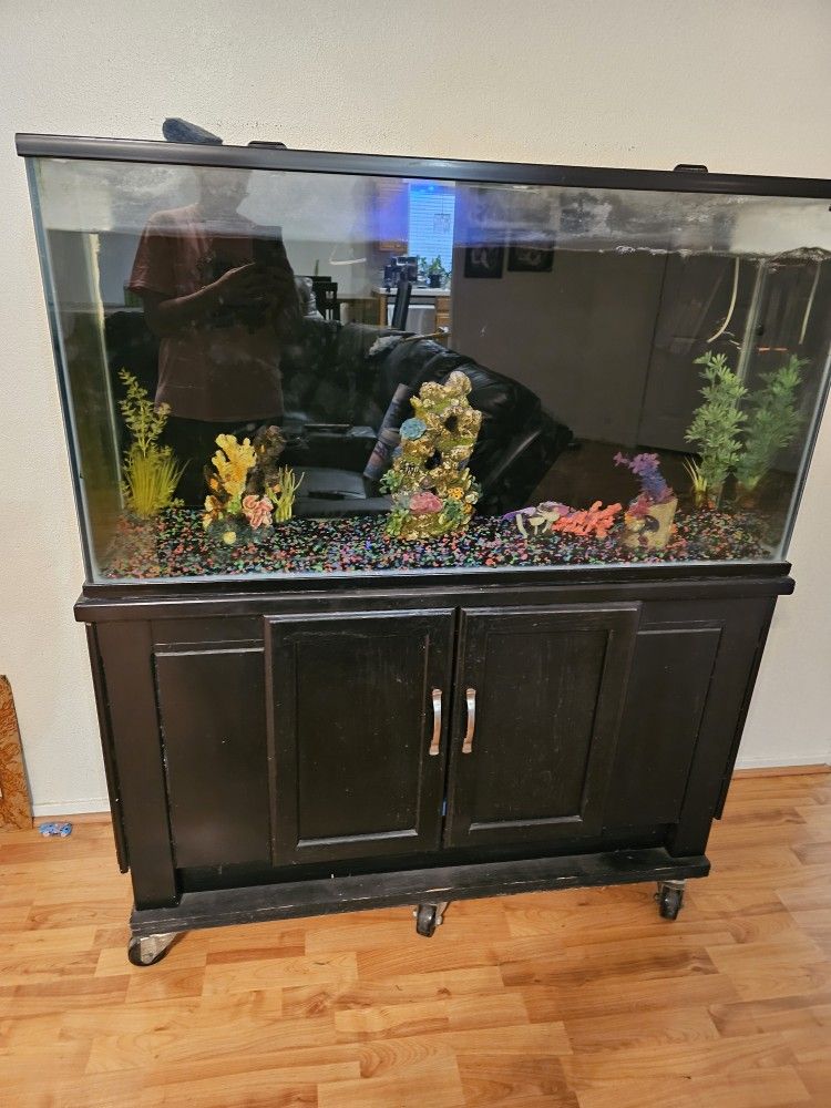 Fish Tank 80 Gallons 