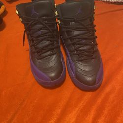 jordan 12 field purple