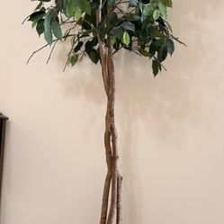  Luxury Decorative Tree with Elegant Oriental Ceramic Pot