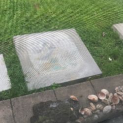 Cement Pads With Foam 