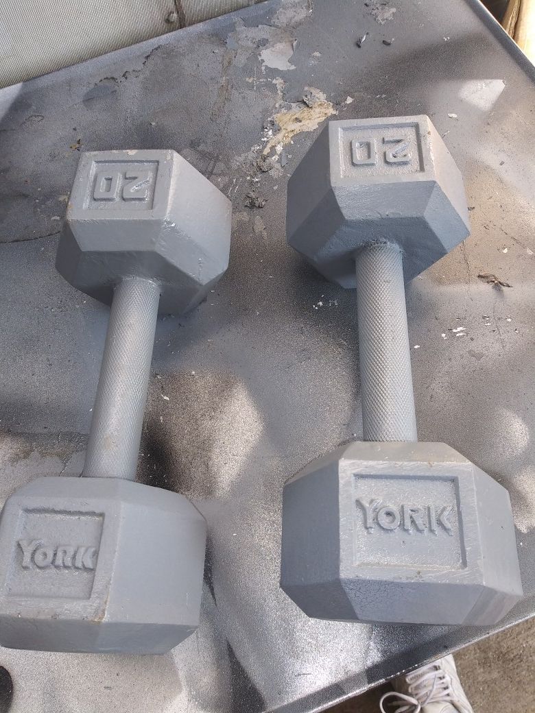 20lb dumbbells