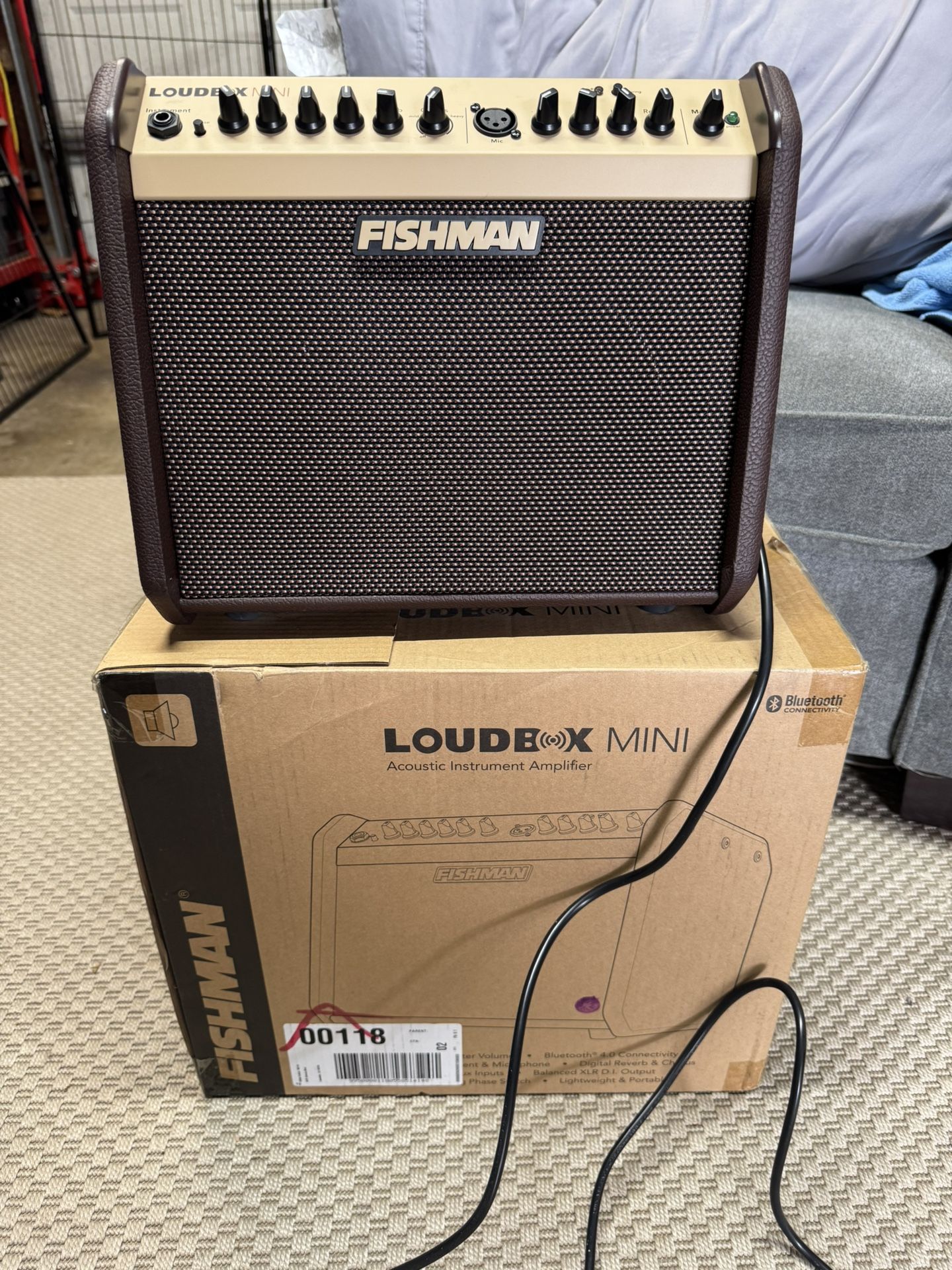 Fishman Loud box Mini