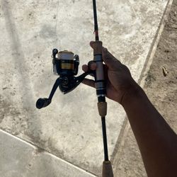 Fishing Rod And Reel 