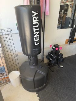 Standing Punching Bag