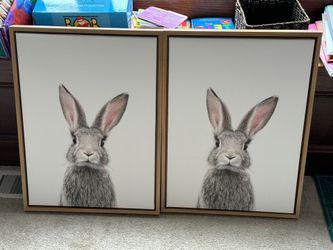 Rabbit Wall Art