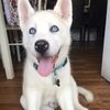 Bella