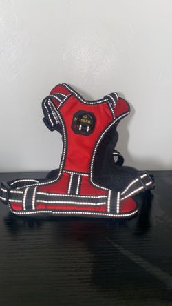 Dog vest