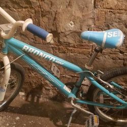 SE Bronco Bike