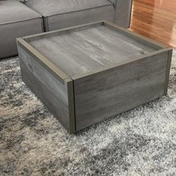 Sauder Manhattan Gate Modern Square Coffee Table