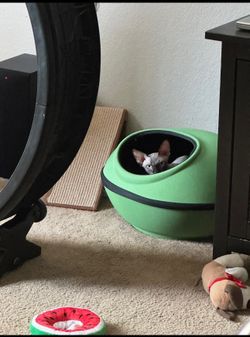 Heated Pod For Cats