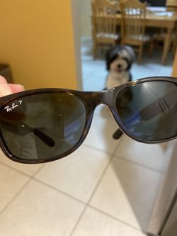 Raybans Sunglasses 😎 