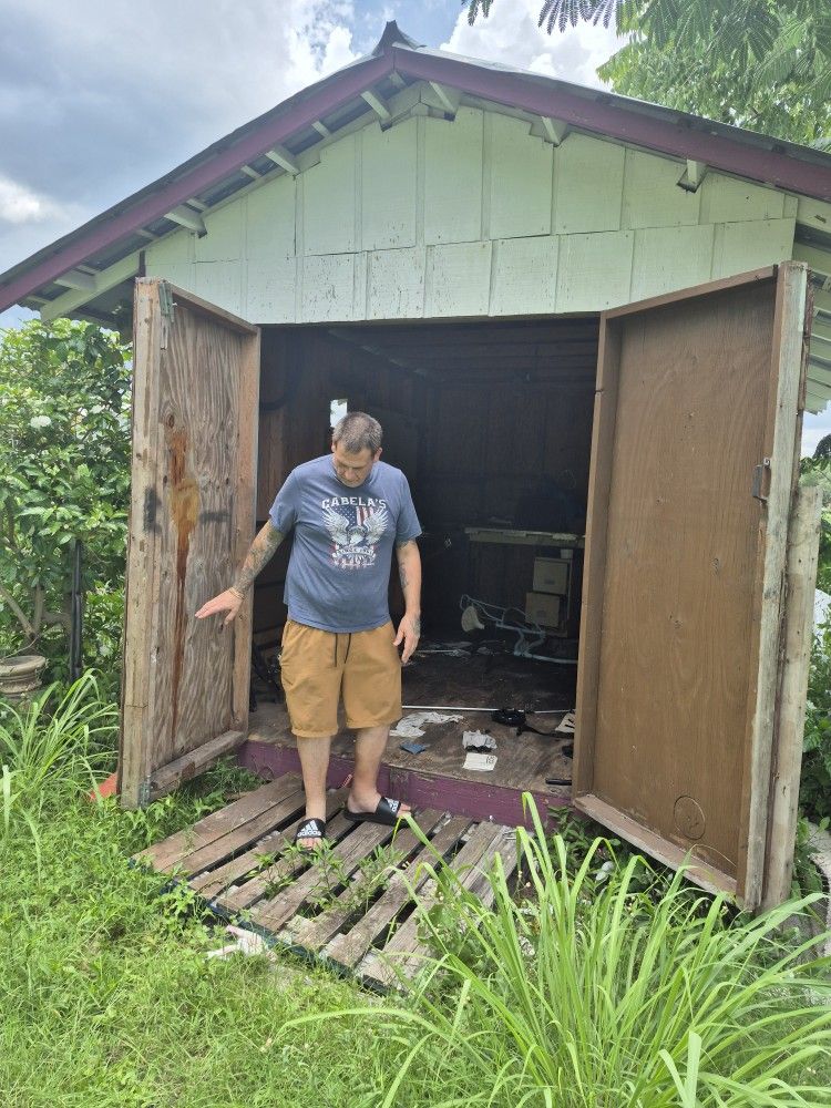 Shed