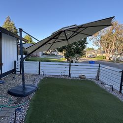 Canopy Umbrella 