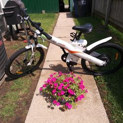 Electro bike Seal 500