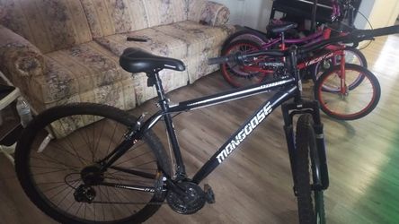 3 bikes
