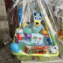 Bluey Basket 